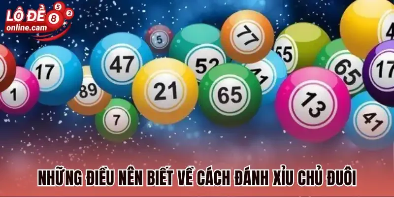 Những điều nên biết về cách đánh xỉu chủ đuôi