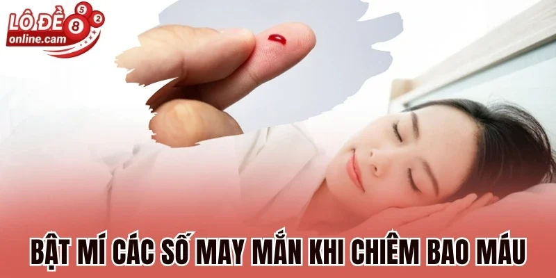 Bật mí các số may mắn khi chiêm bao máu
