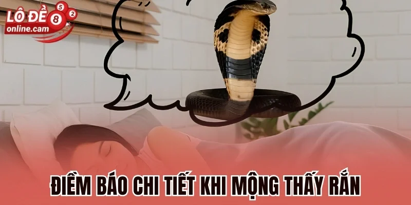 Điềm báo chi tiết khi mộng thấy rắn