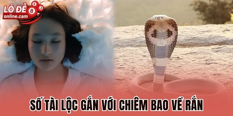 Số tài lộc gắn với chiêm bao về rắn