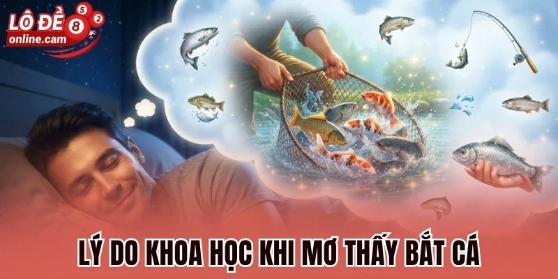 Lý do khoa học khi mơ thấy bắt cá