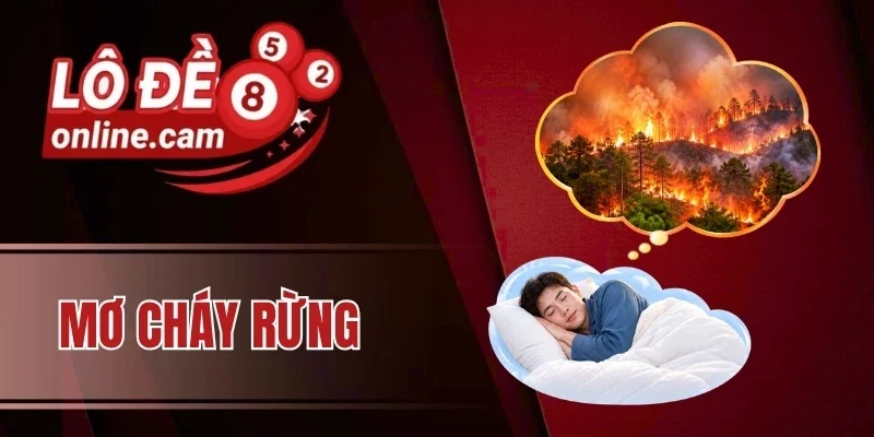 Mơ cháy rừng